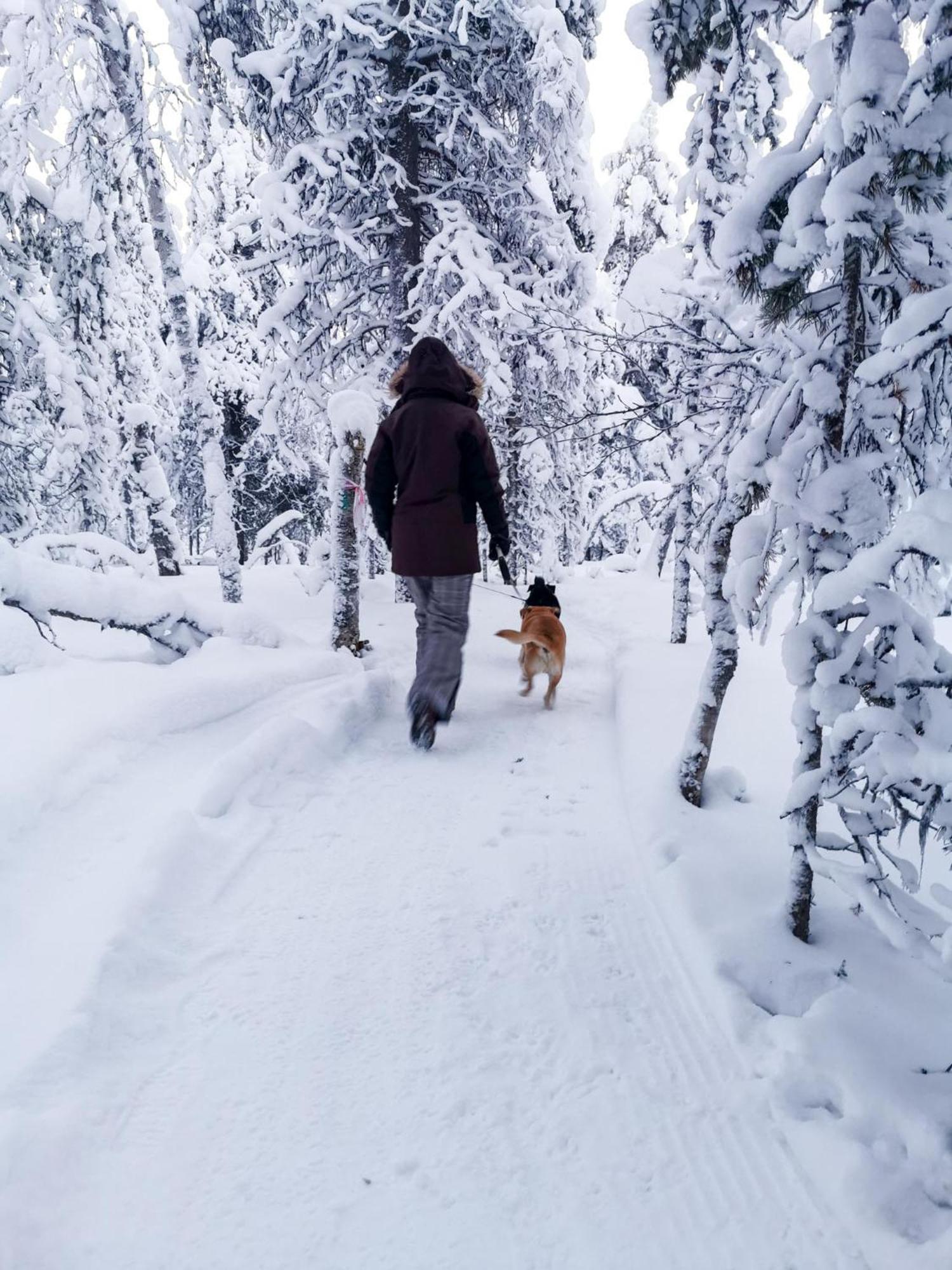 Luttotupa Appartement Saariselkä Buitenkant foto